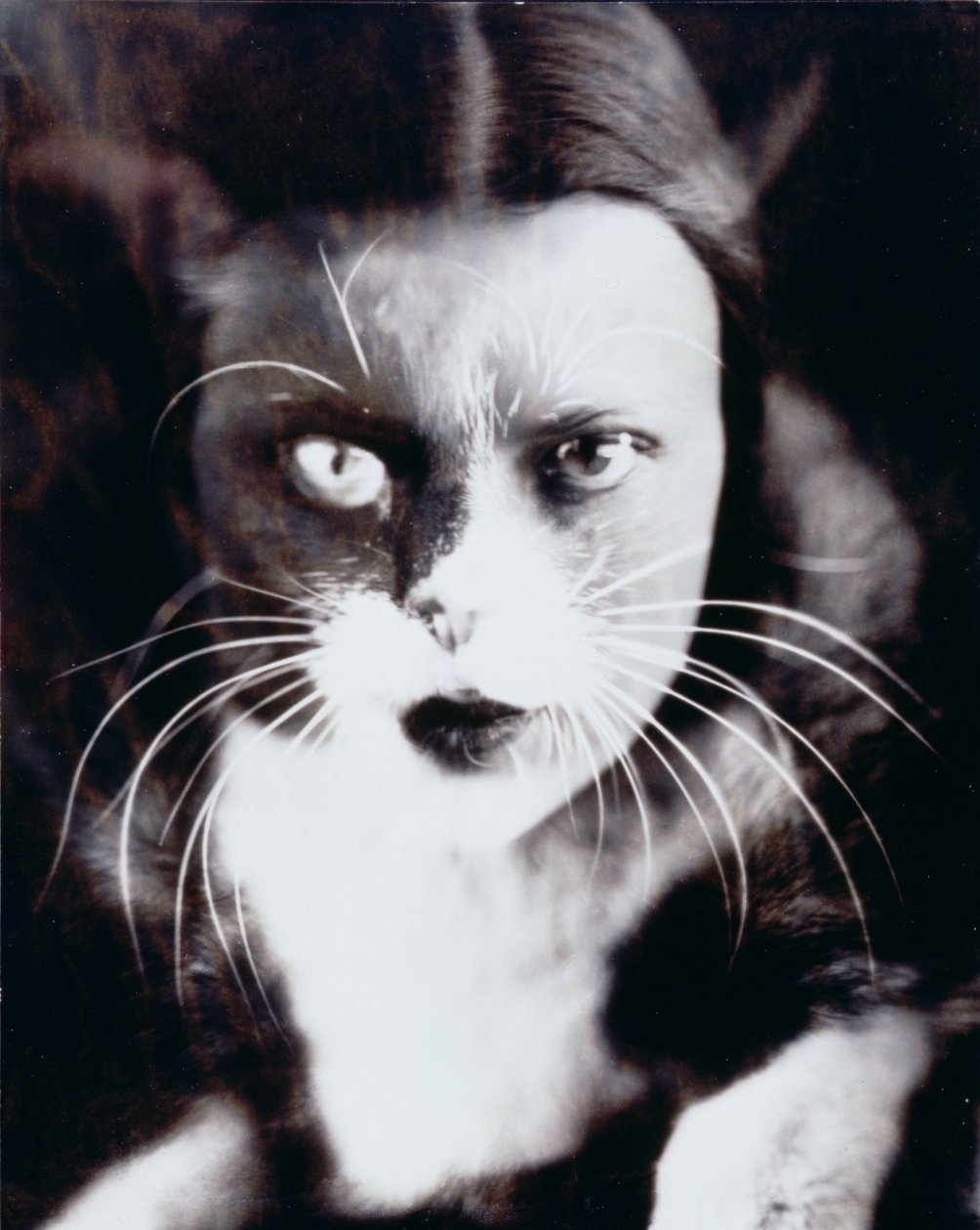 Kat en ik door Wanda Wulz