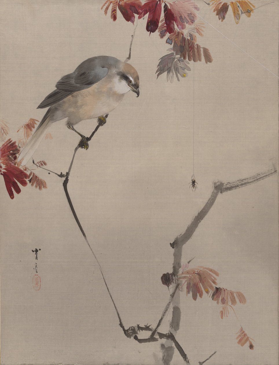 Vogel op tak kijkt naar spin, ca. 1887 door Watanabe Seitei