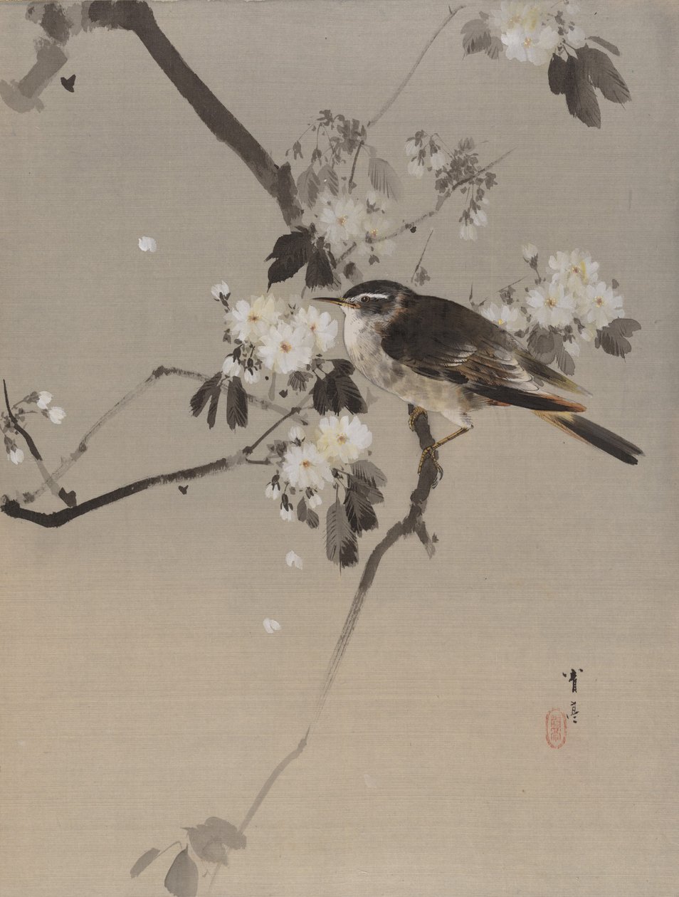 Vogels op een bloeiende tak, ca. 1887 door Watanabe Seitei