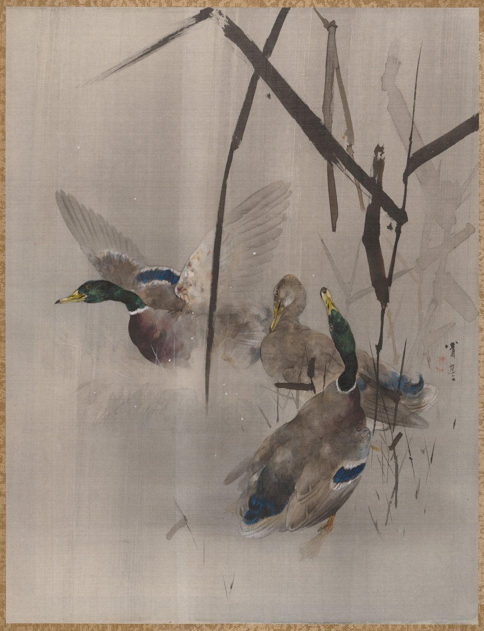 Eenden in het riet, ca. 1887 door Watanabe Seitei