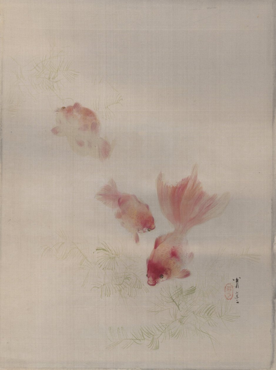 Goudvis, ca. 1887 door Watanabe Seitei