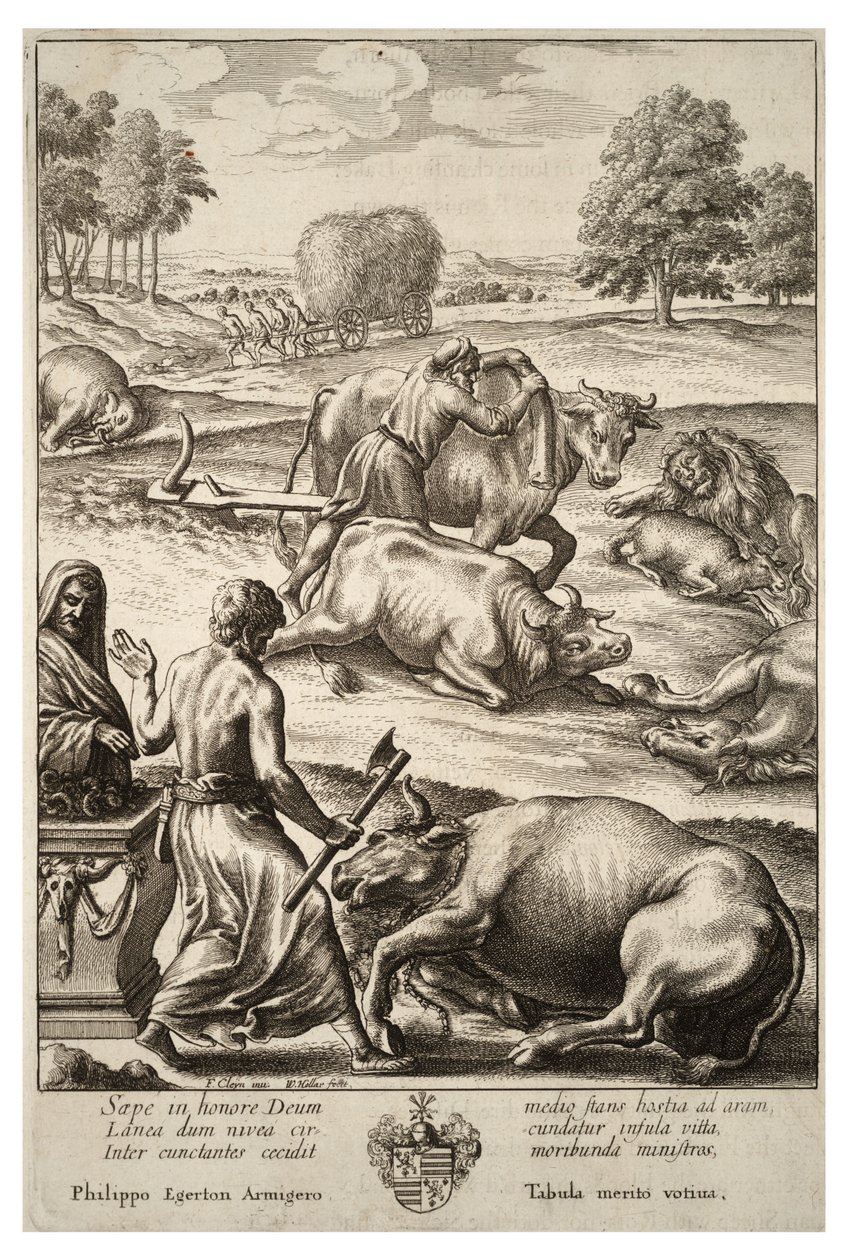 Runderpest. Staat 2 door Wenceslaus Hollar