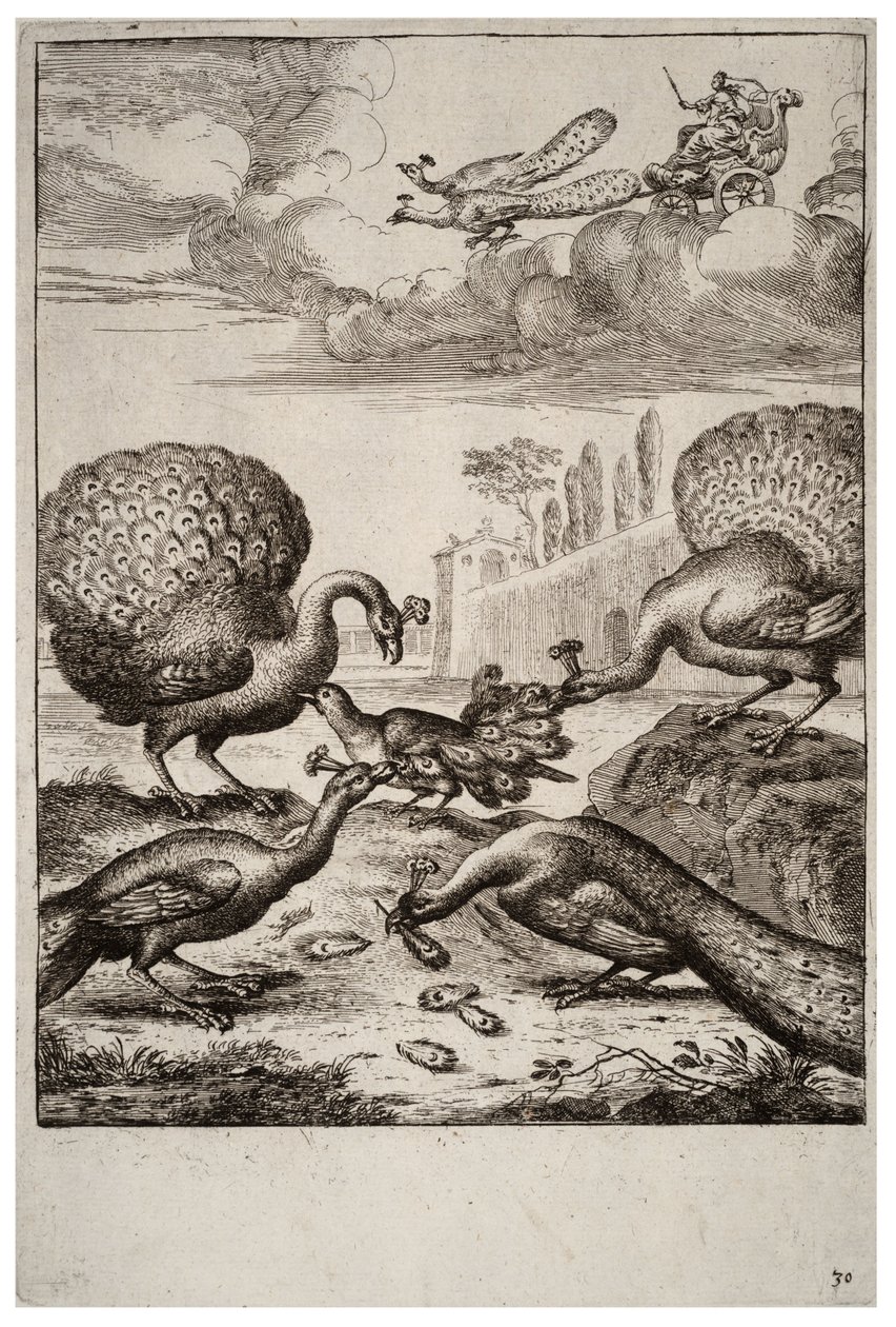 De gaai en de pauwen door Wenceslaus Hollar