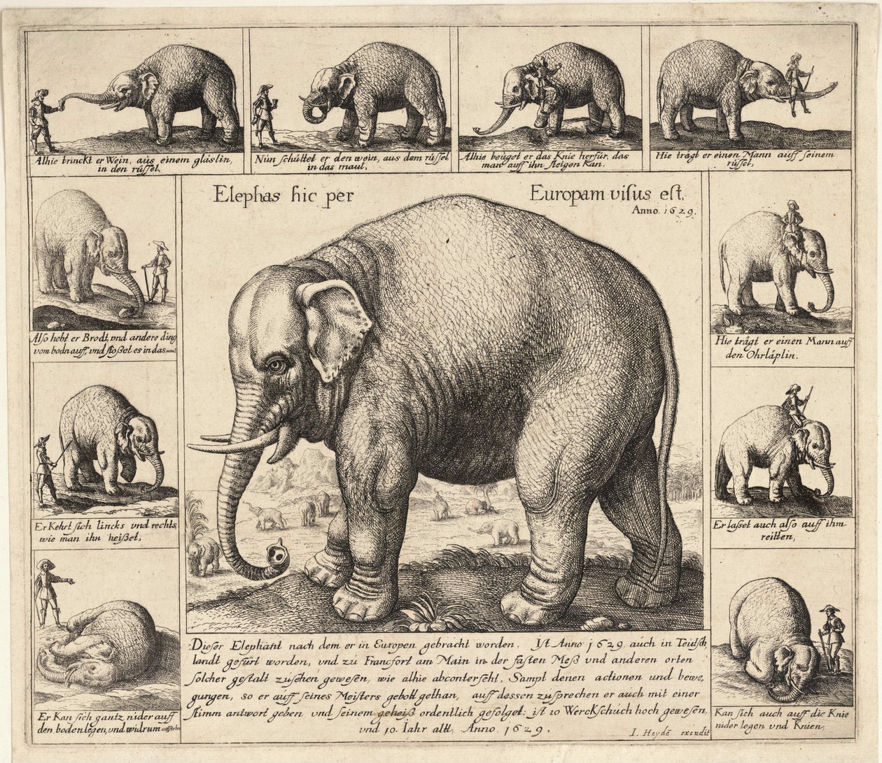 De tamme olifant door Wenceslaus Hollar