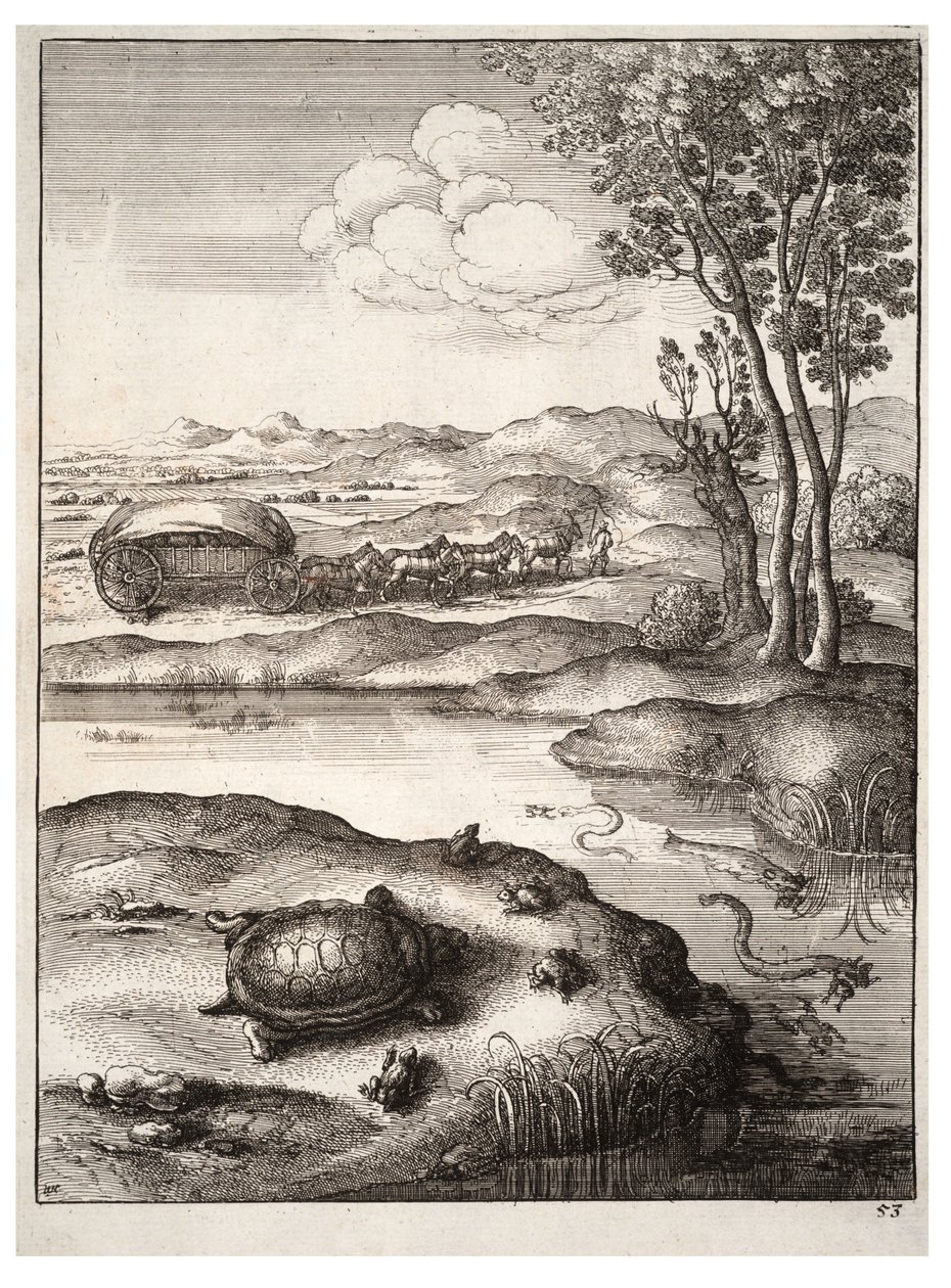 De schildpad en de kikkers door Wenceslaus Hollar