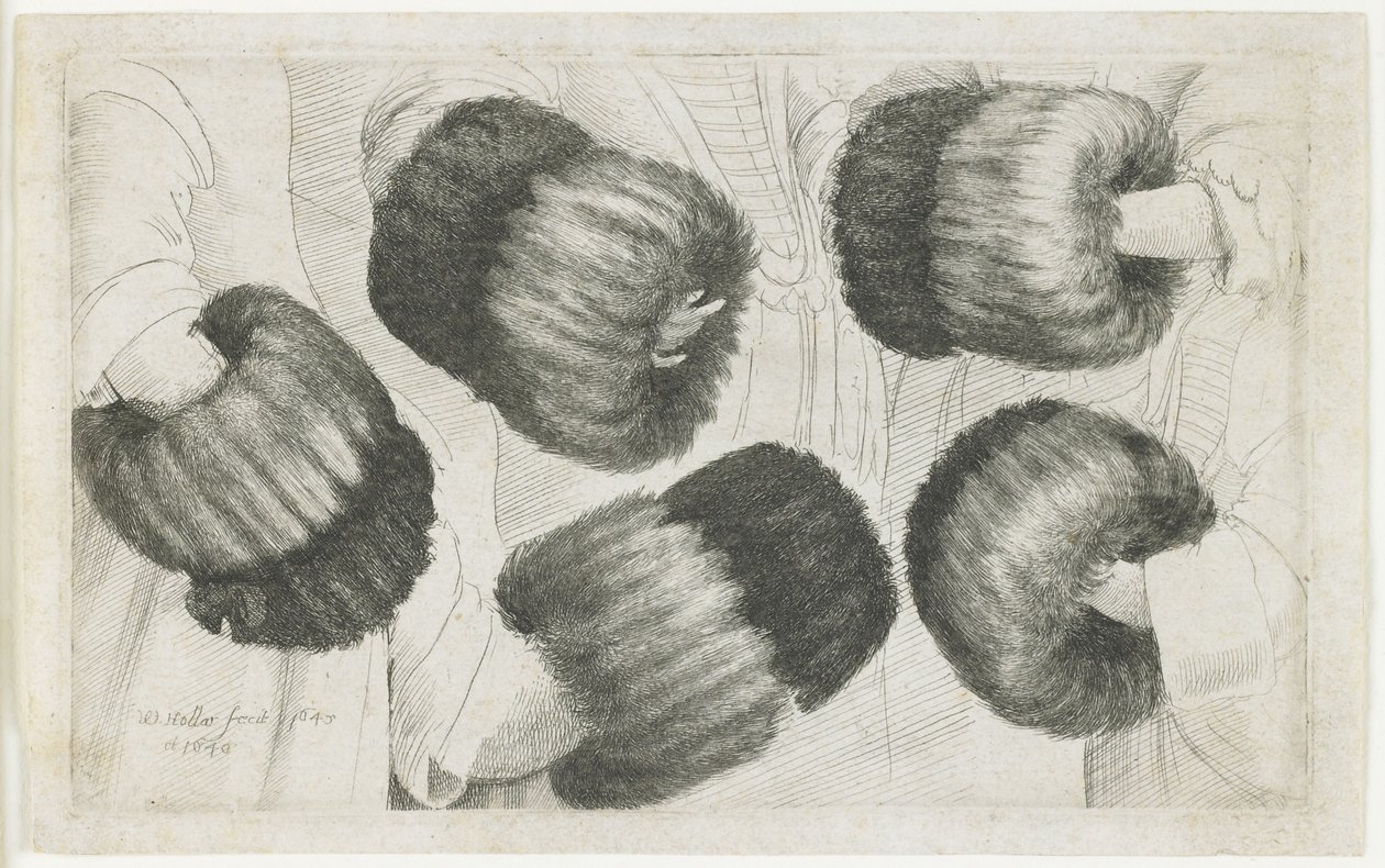 Een Muff in Vijf Zichten, 1645-1646 door Wenceslaus Hollar