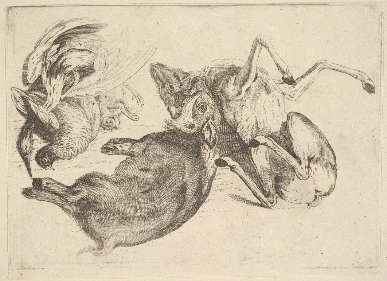 Everzwijn, hert, reiger en ander wild door Wenceslaus Hollar