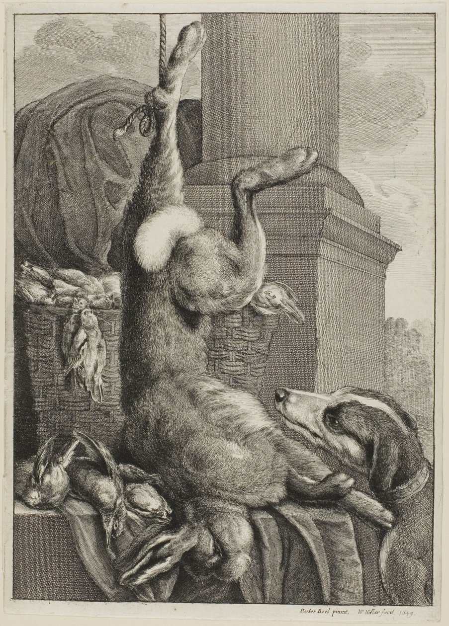 Dode haas door Wenceslaus Hollar