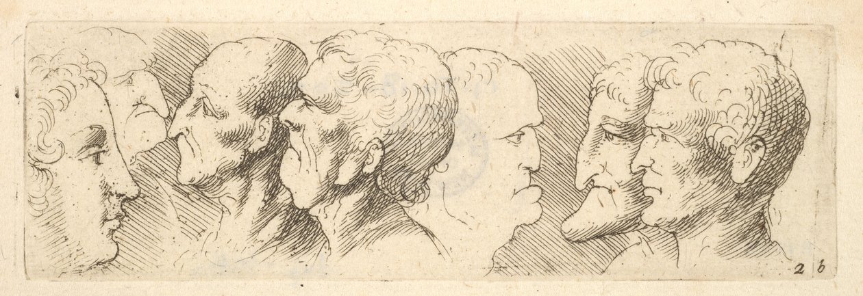 Hoofdstudies door Wenceslaus Hollar