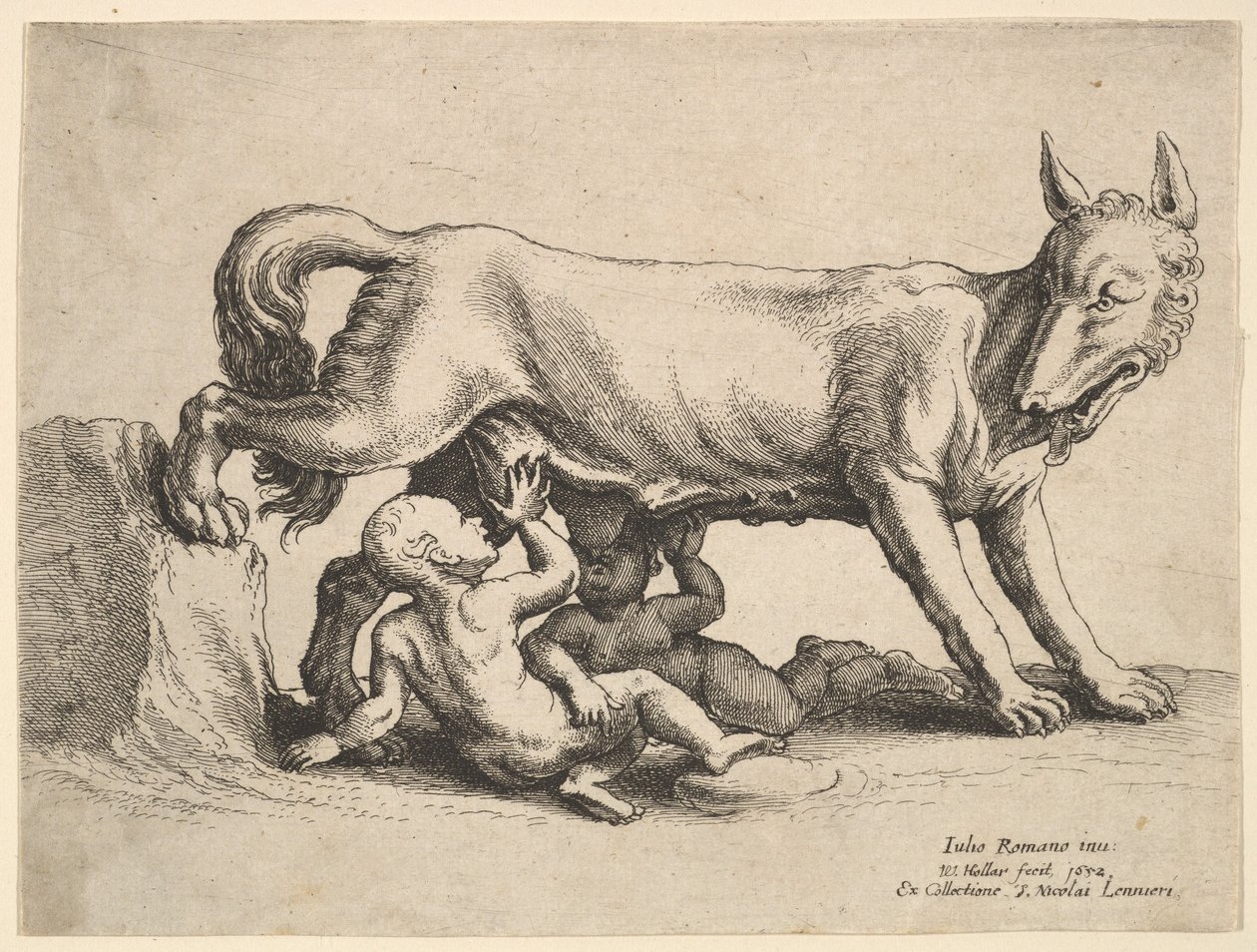 Romulus en Remus, 1652 door Wenceslaus Hollar