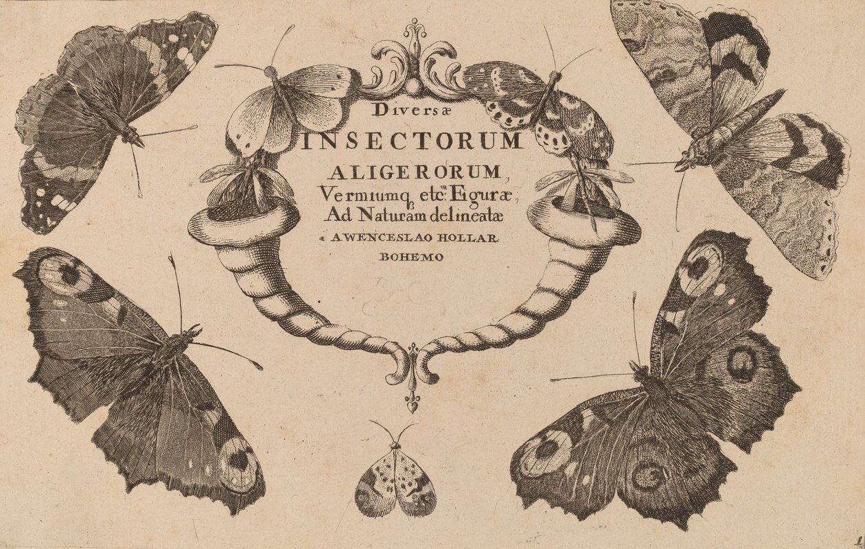 Titelpagina door Wenceslaus Hollar