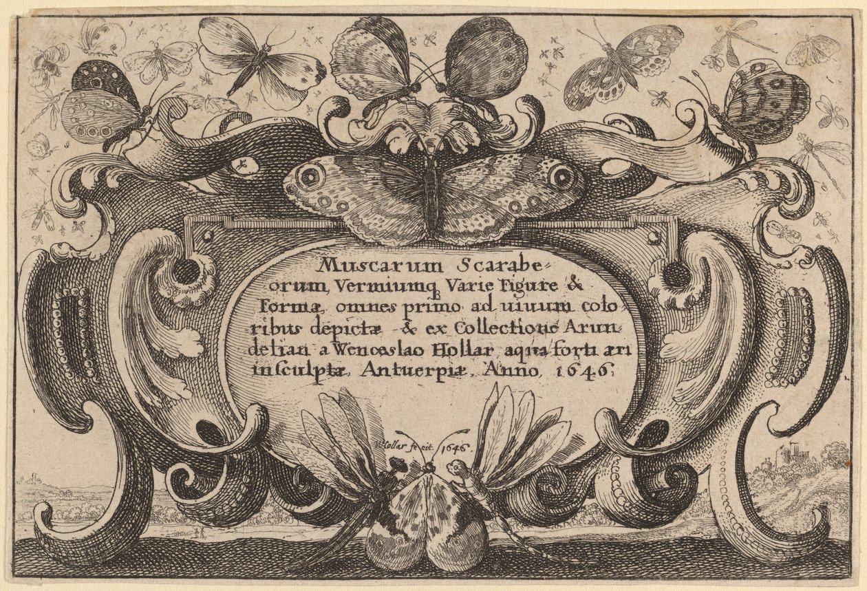 Titelpagina door Wenceslaus Hollar