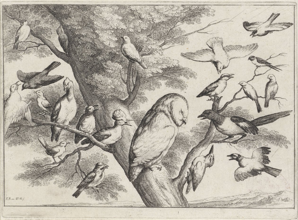 Vogels in een boom door Wenceslaus Hollar