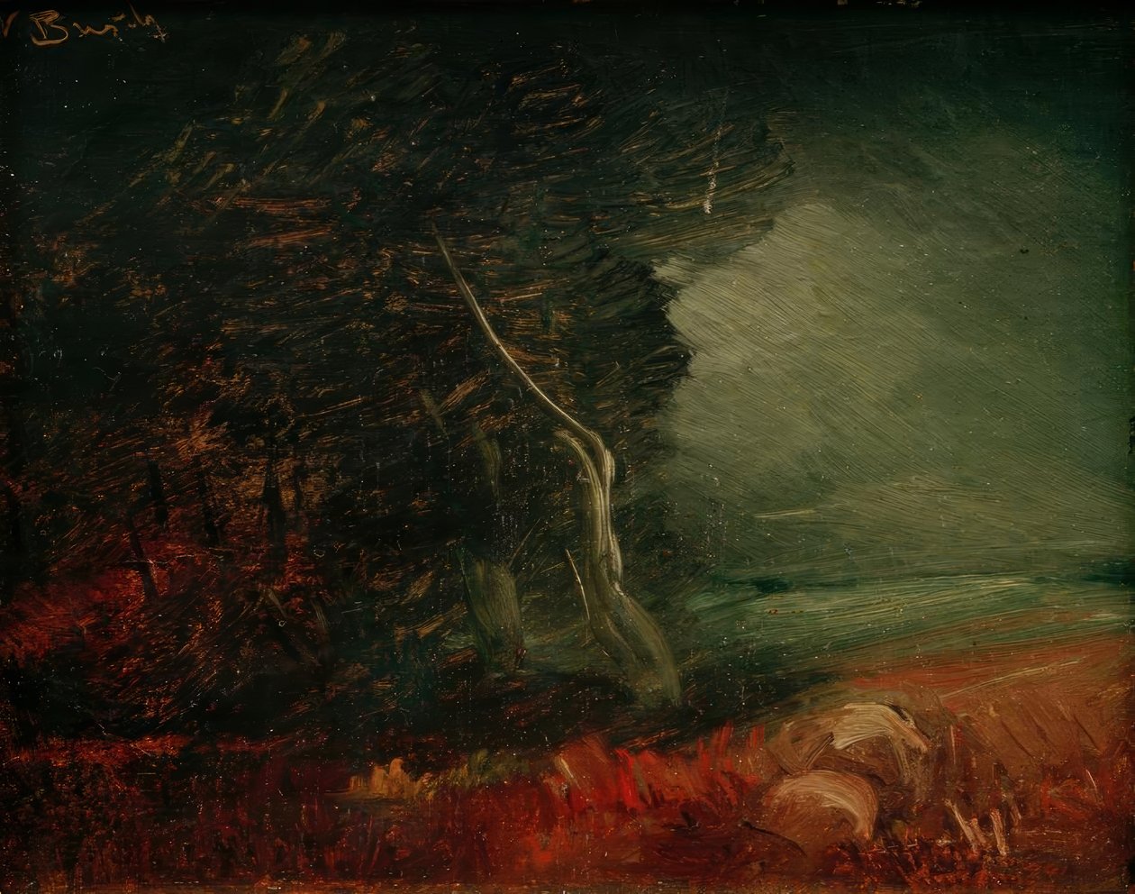 Somber bosrand (Aardappelvuur) door Wilhelm Busch