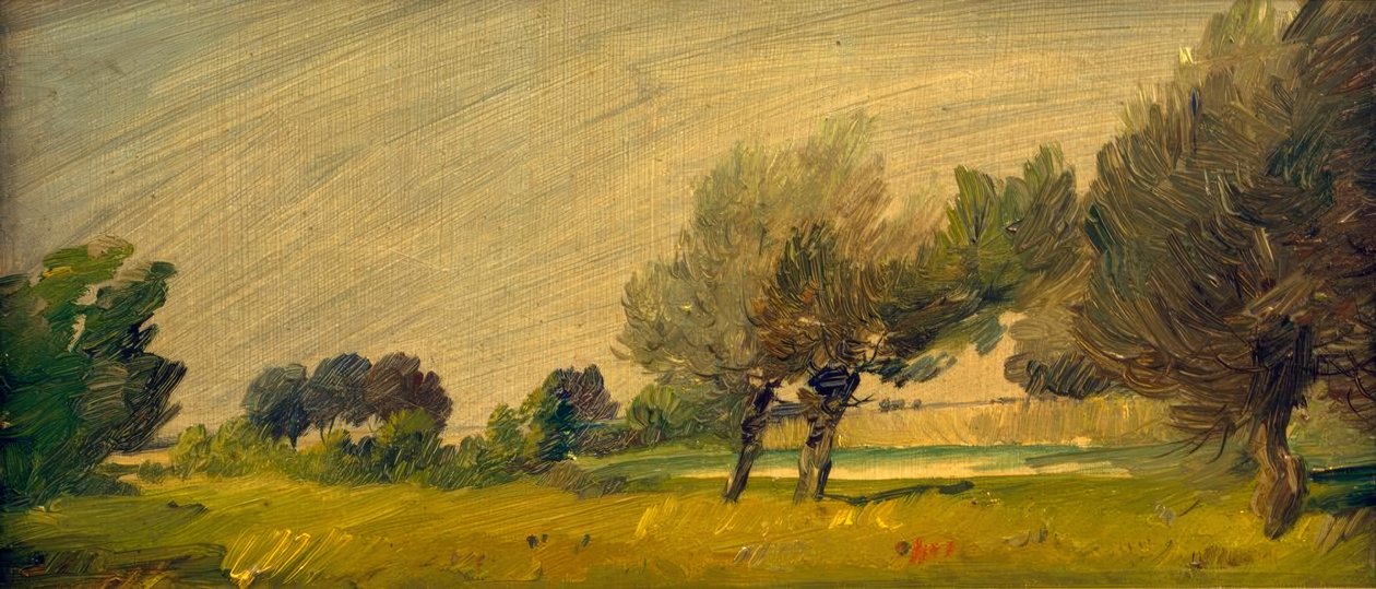Groen zomerlandschap - Wilgen aan de vijver door Wilhelm Busch