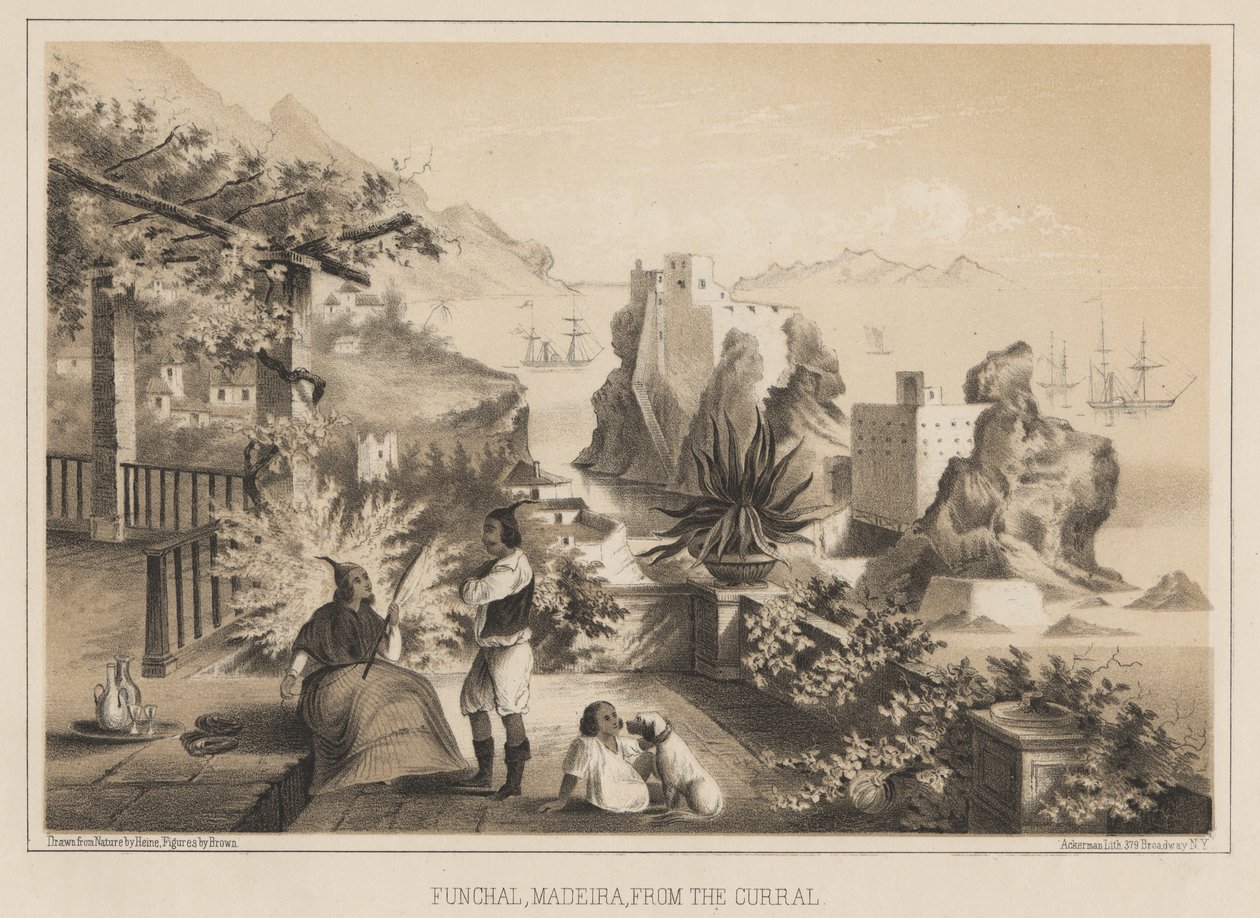Funchal, Madeira, vanaf de Curral, 1885 door Wilhelm Joseph Heine