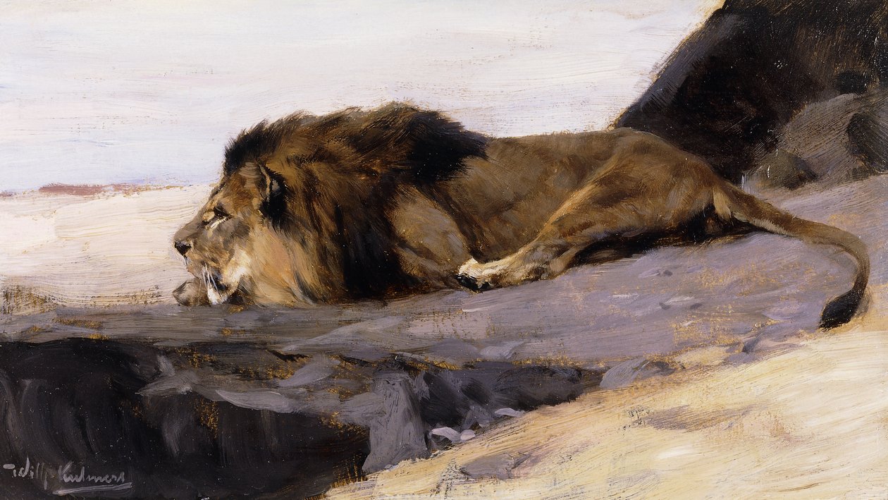 Een Rustende Leeuw; Ruhender Lowe door Wilhelm Kuhnert