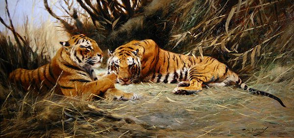 Siberische Tijgers door Wilhelm Kuhnert