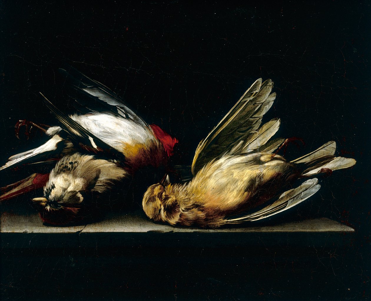 Dode vogeltjes door Willem van Aelst