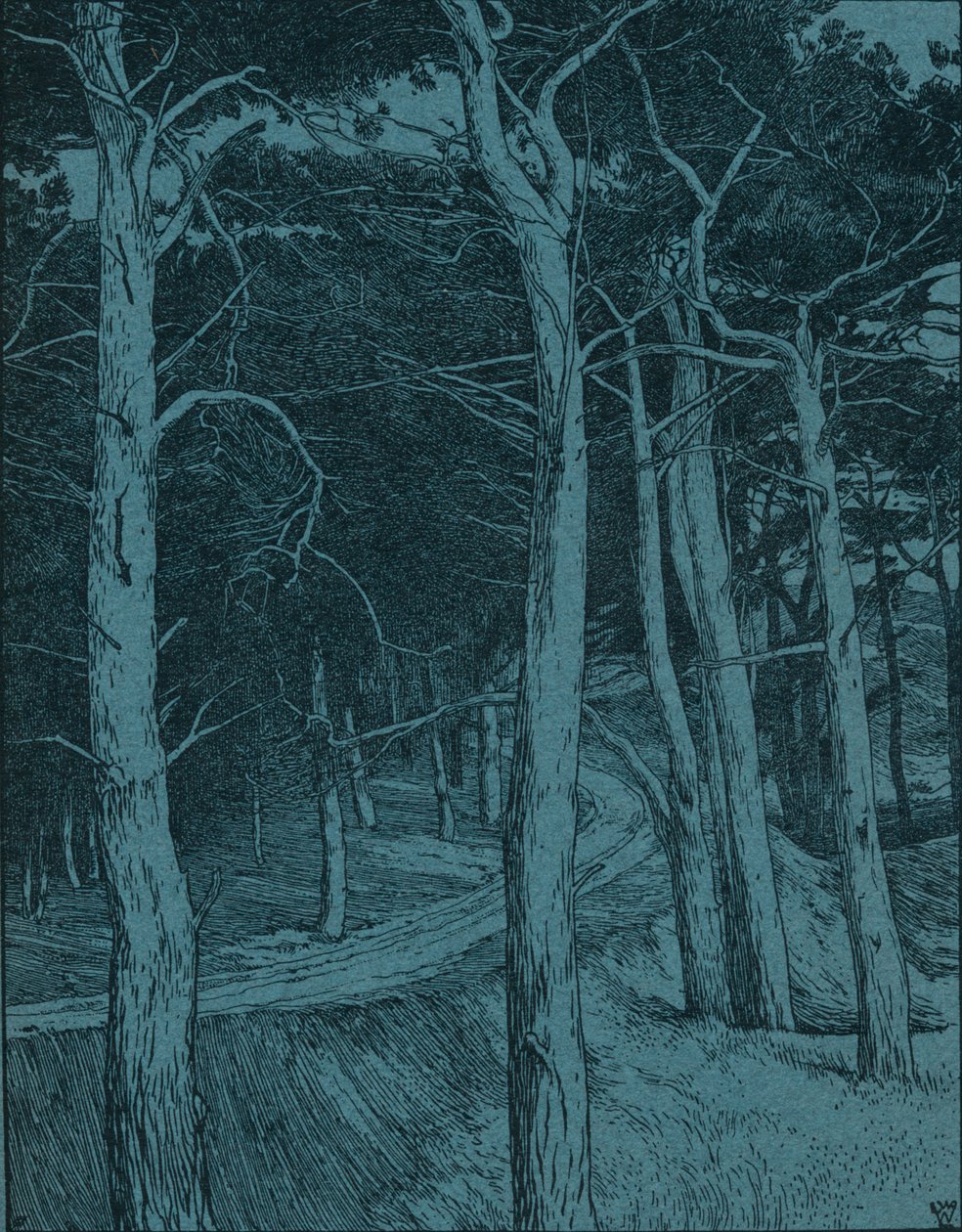 Bos, ca. 1912 door Willem Wenckebach