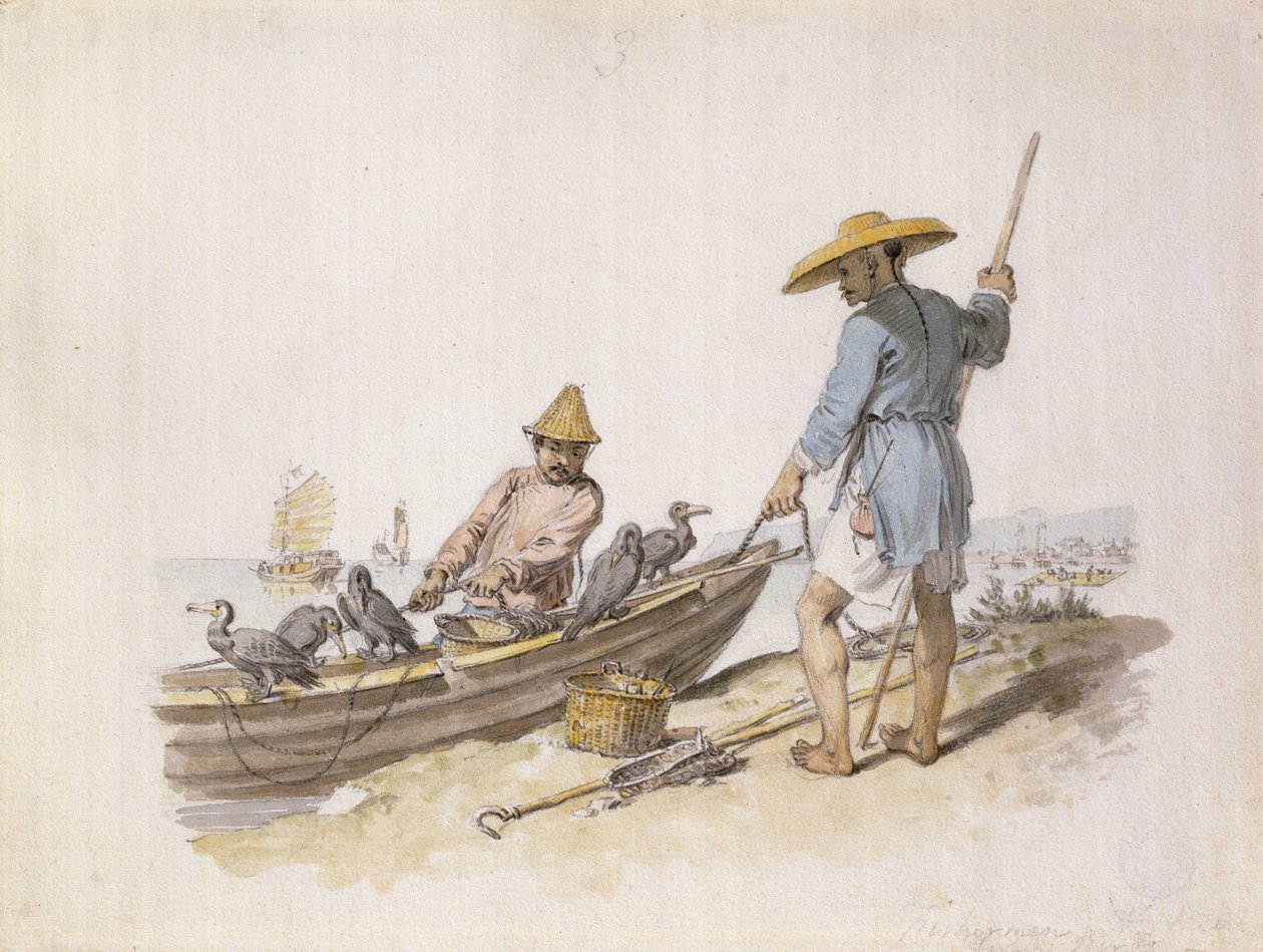 Chinese vissers met aalscholvers door William Alexander
