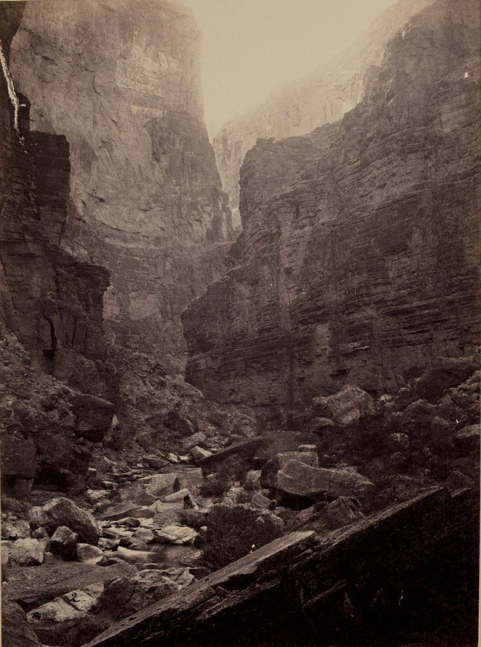 Cañon van Kanab Wash, Colorado River, Kijkend naar het Noorden door William H. Bell