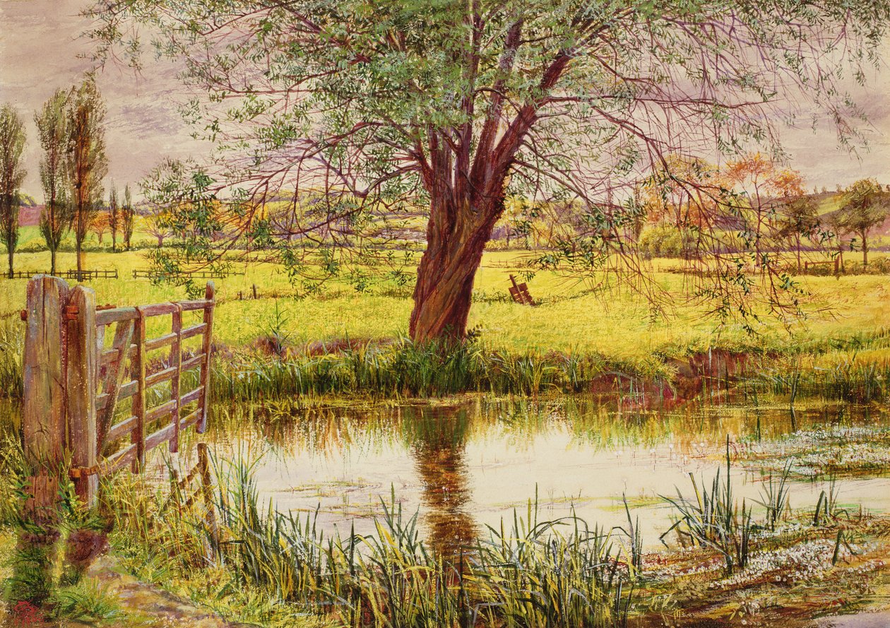 Waterweide, 1865 door William Bell Scott