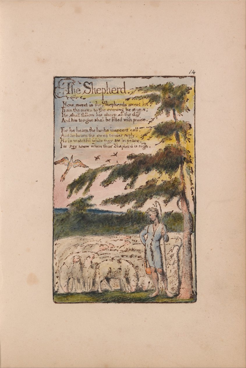 Songs of Innocence and of Experience door William Blake
