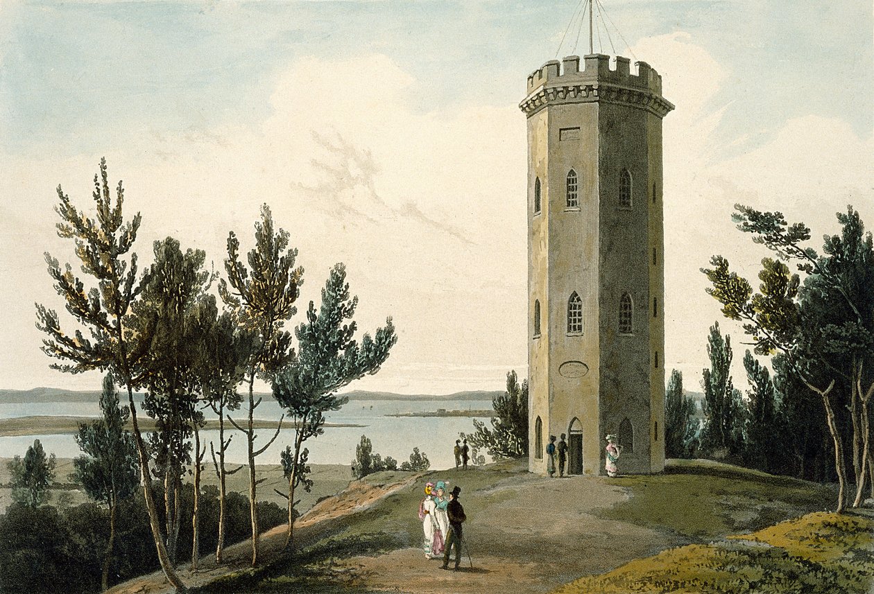 Nelson