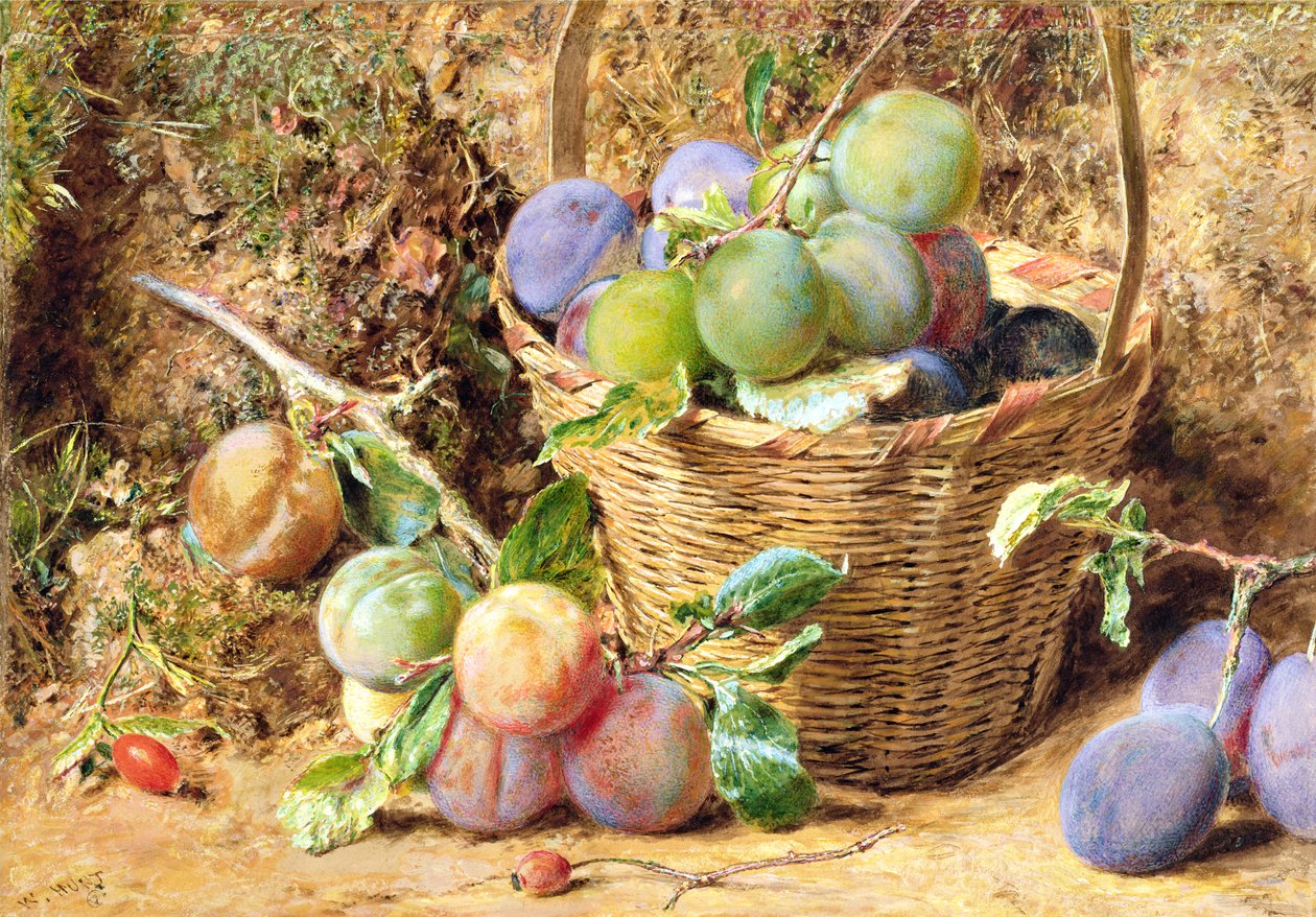 Pruimen door William Henry Hunt