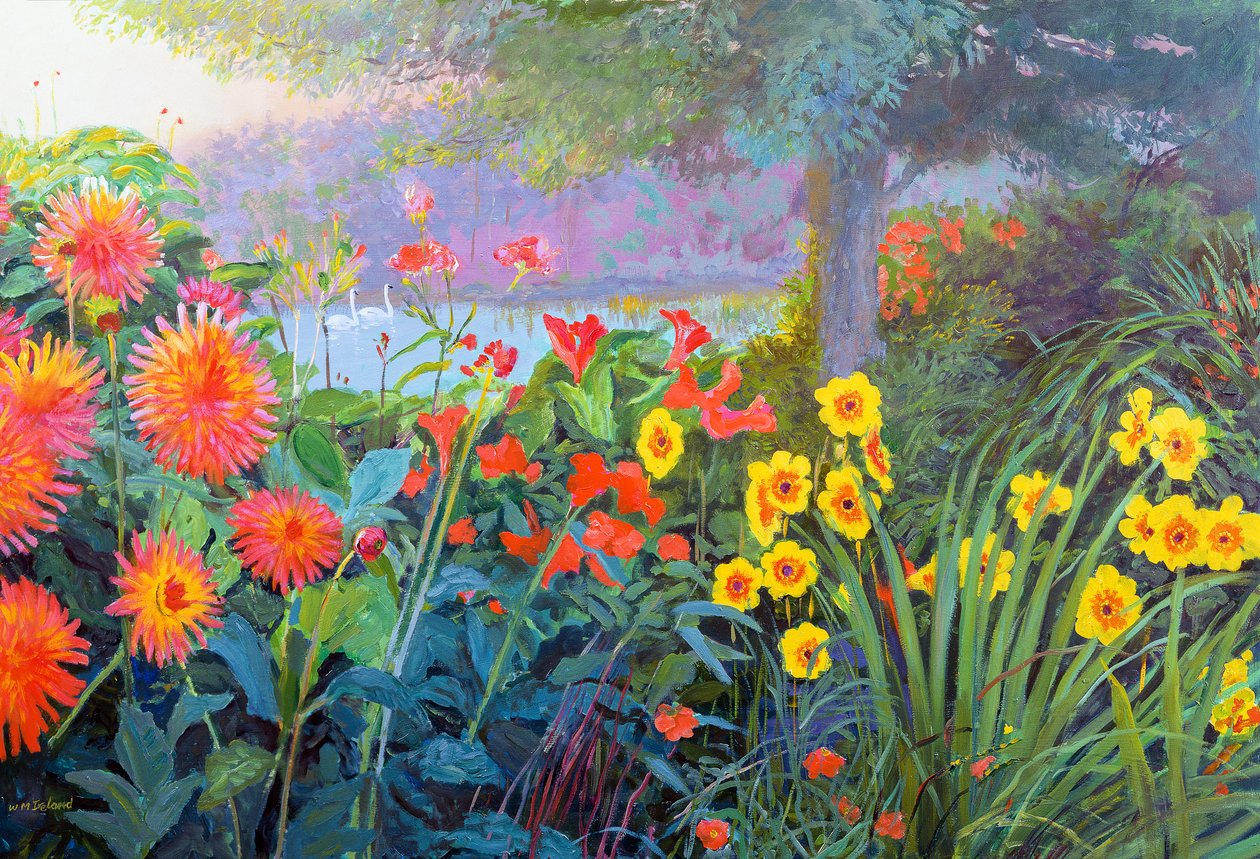 Zwanen door William Ireland
