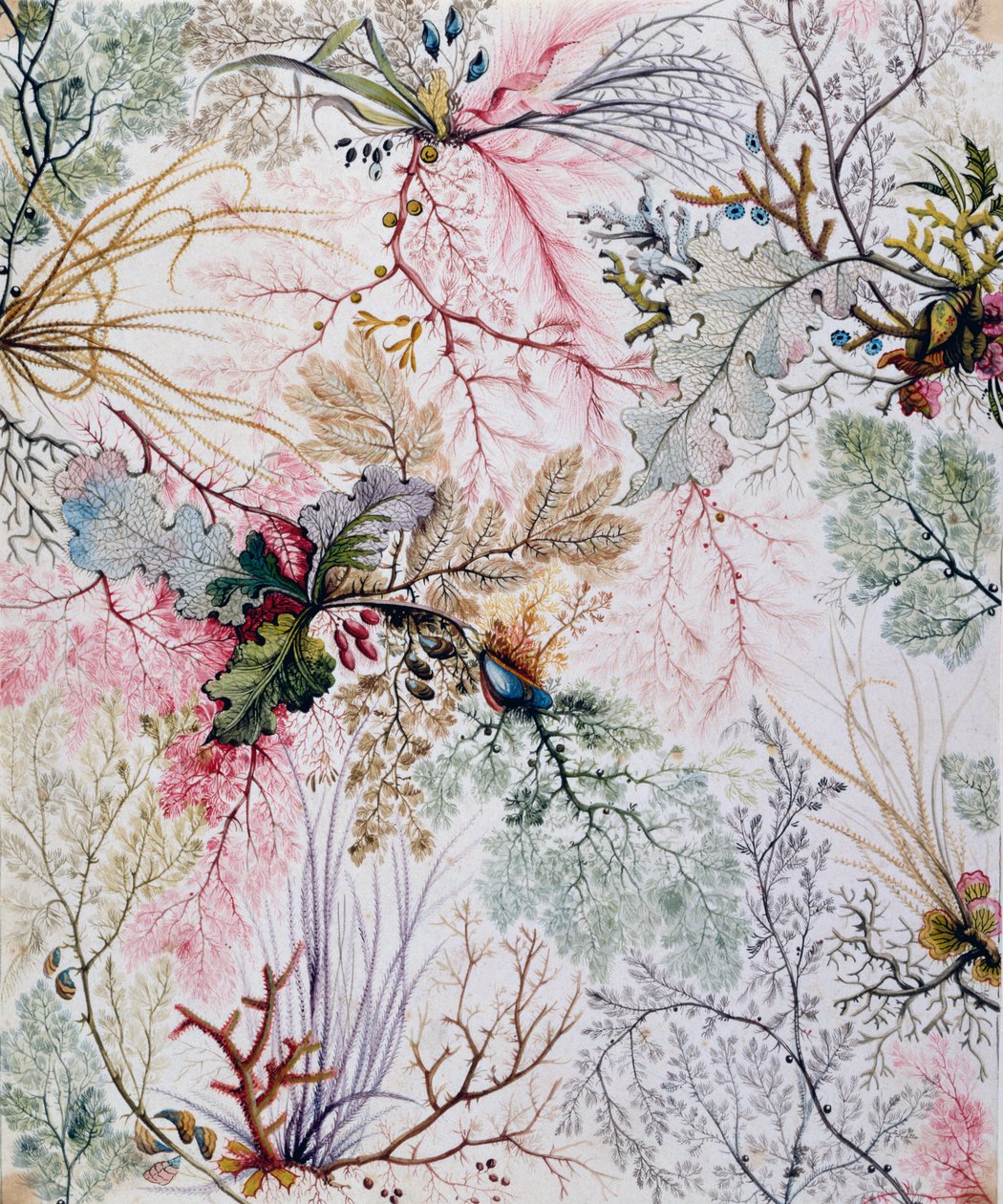 Textielontwerp, c.1788-92 door William Kilburn