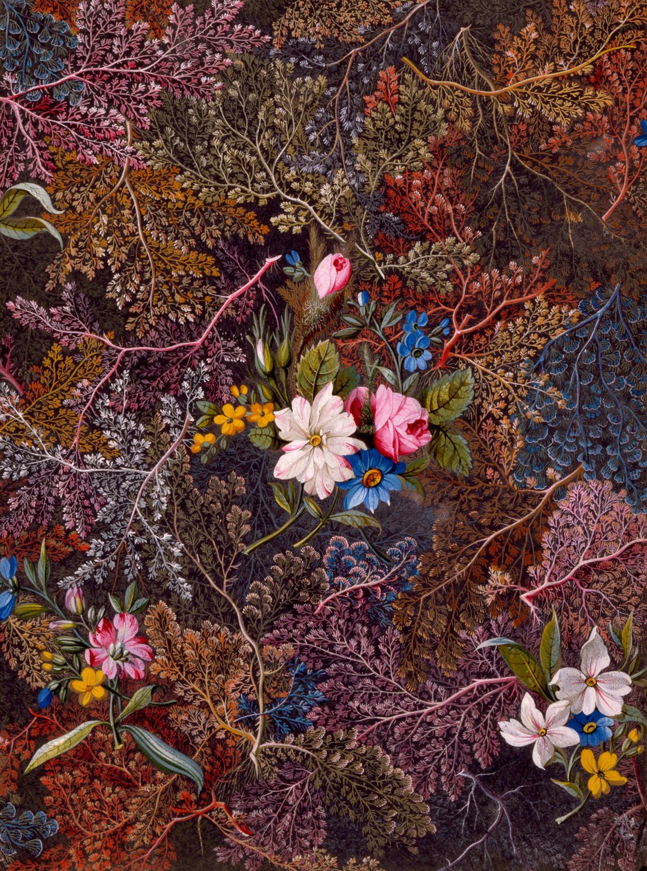 Textielontwerp, ca. 1788-92 door William Kilburn