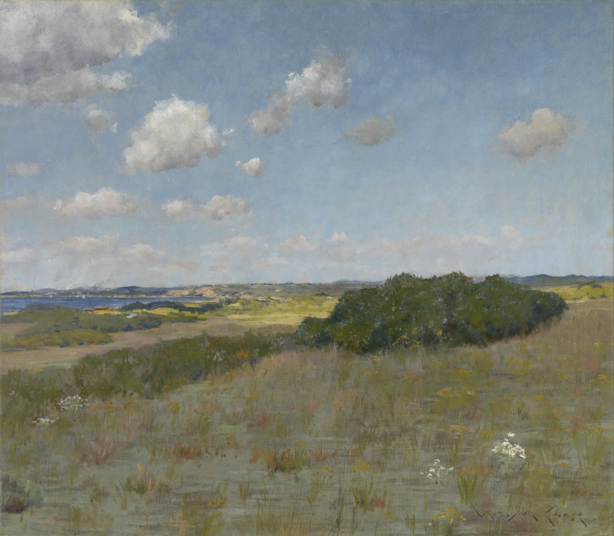 Zonlicht en Schaduw, Shinnecock Hills door William Merritt Chase
