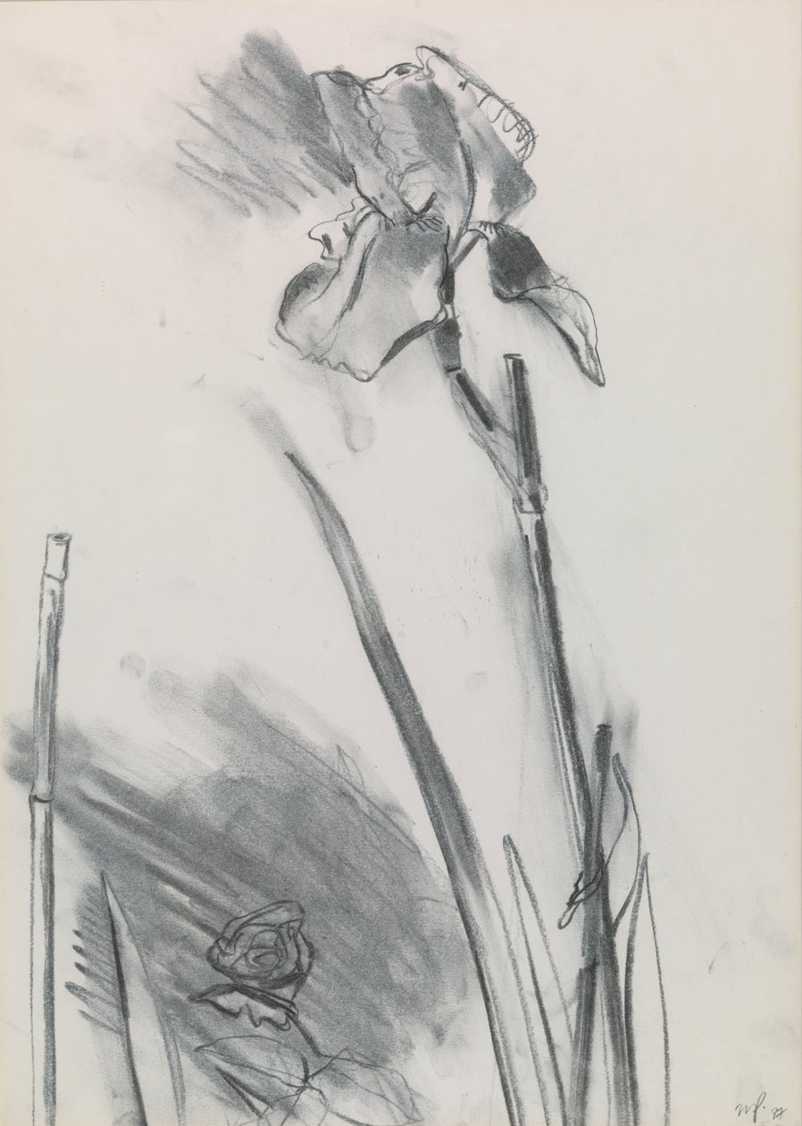 Iris 2 door William Packer