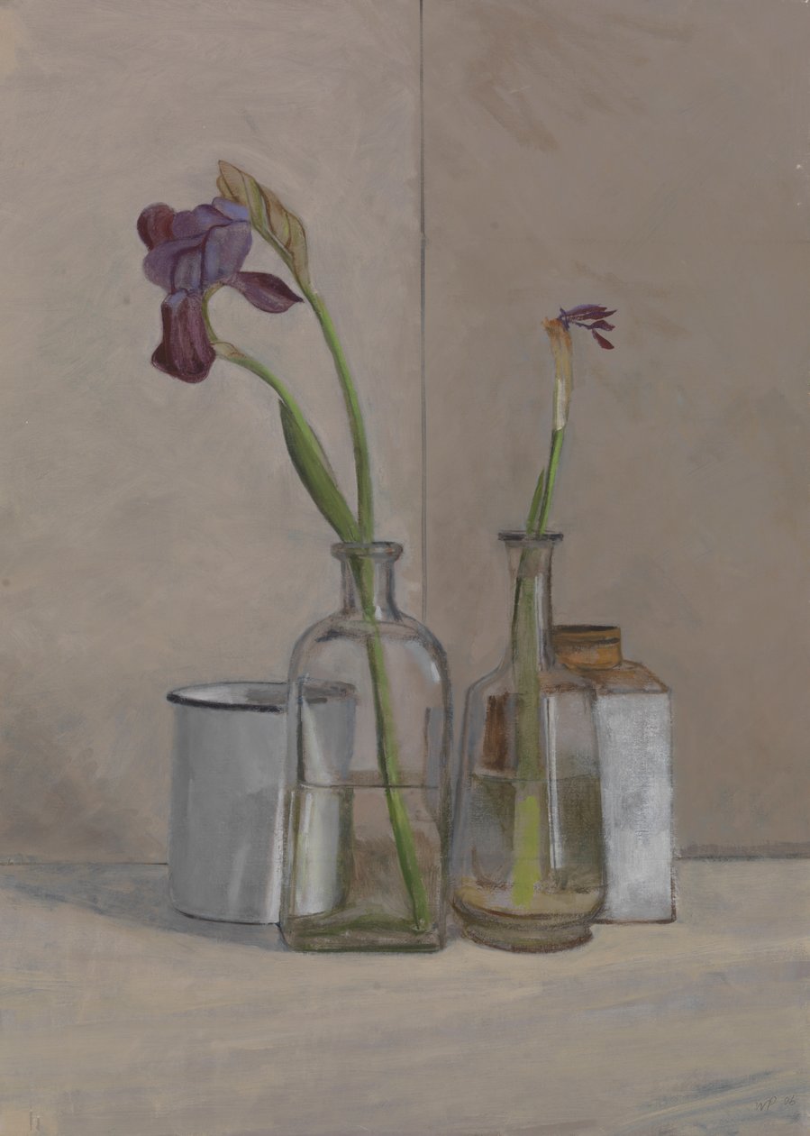 Iris Witte Blikken door William Packer