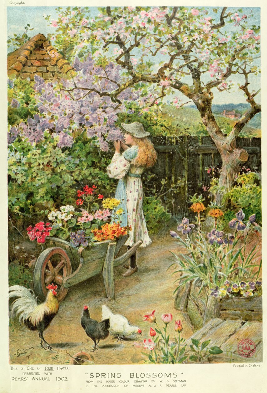 Lentebloesems, uit de Pears Annual, 1902 door William Stephen Coleman