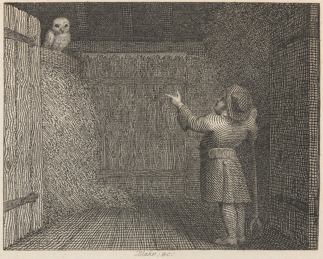 De Uil en de Boer door William Blake