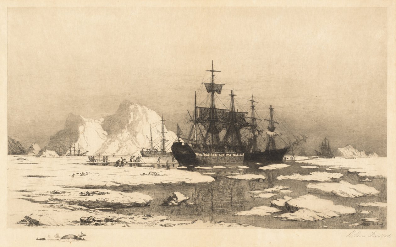 Tussen de IJsvelden door William Bradford