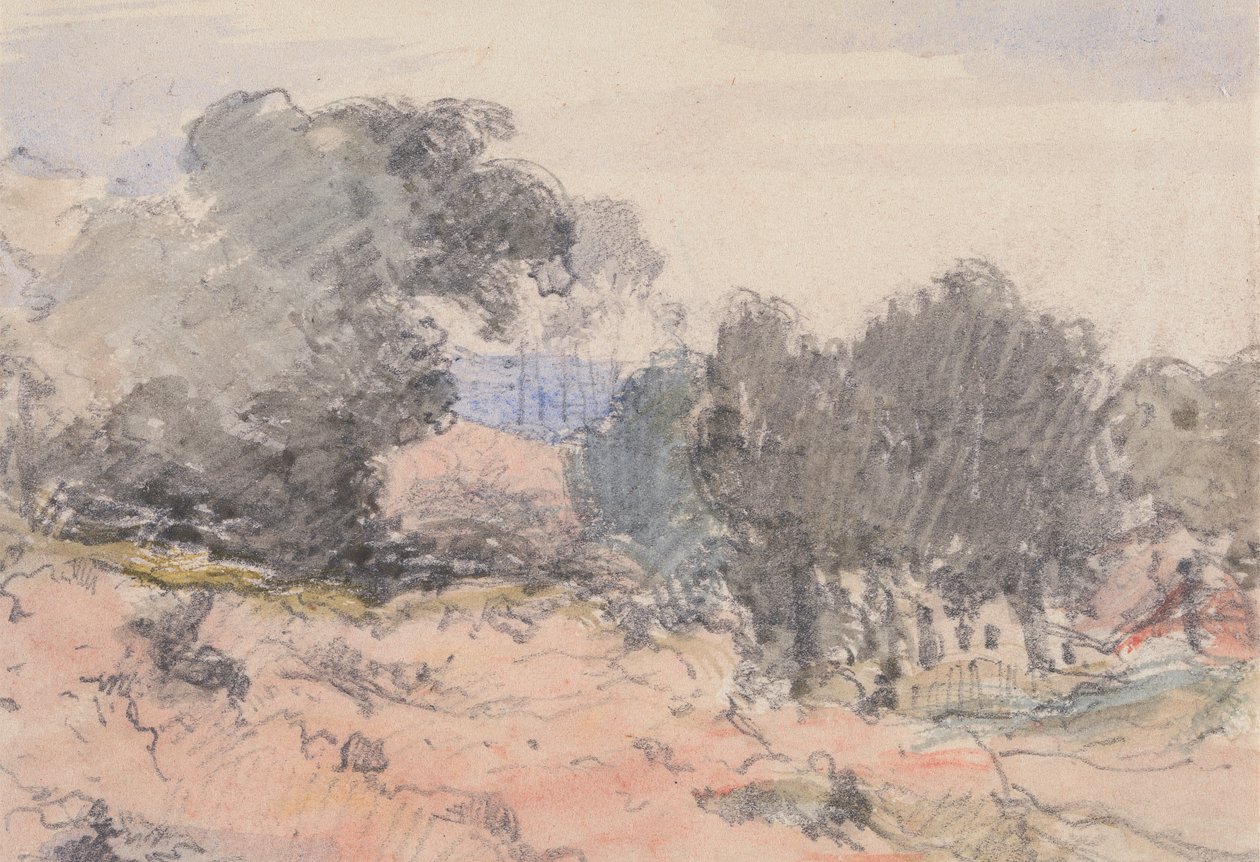 Landschap: huis en bomen door William Collins