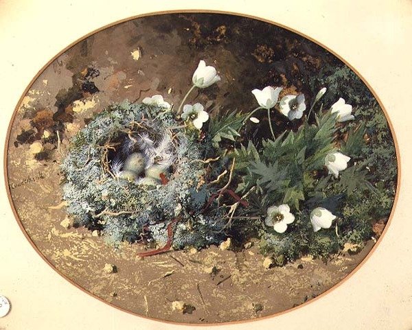 Vogelnest met witte klokjesbloemen door William Cruikshank