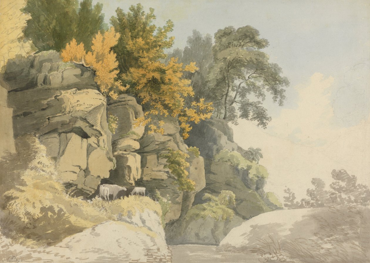 Bosrijke rotsen bij een stroom (Derbyshire?) door William Day