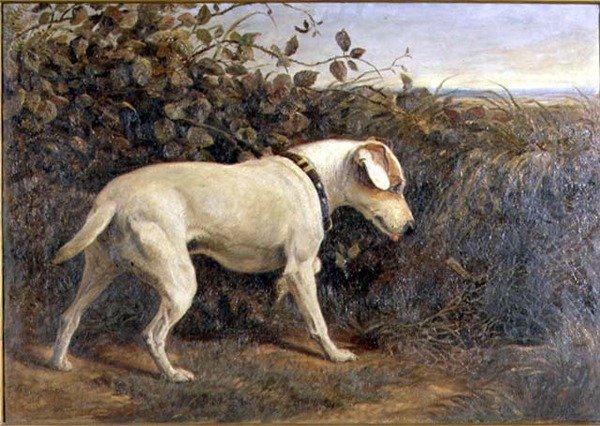 Terriër in een Landschap door William Elsob Marshall