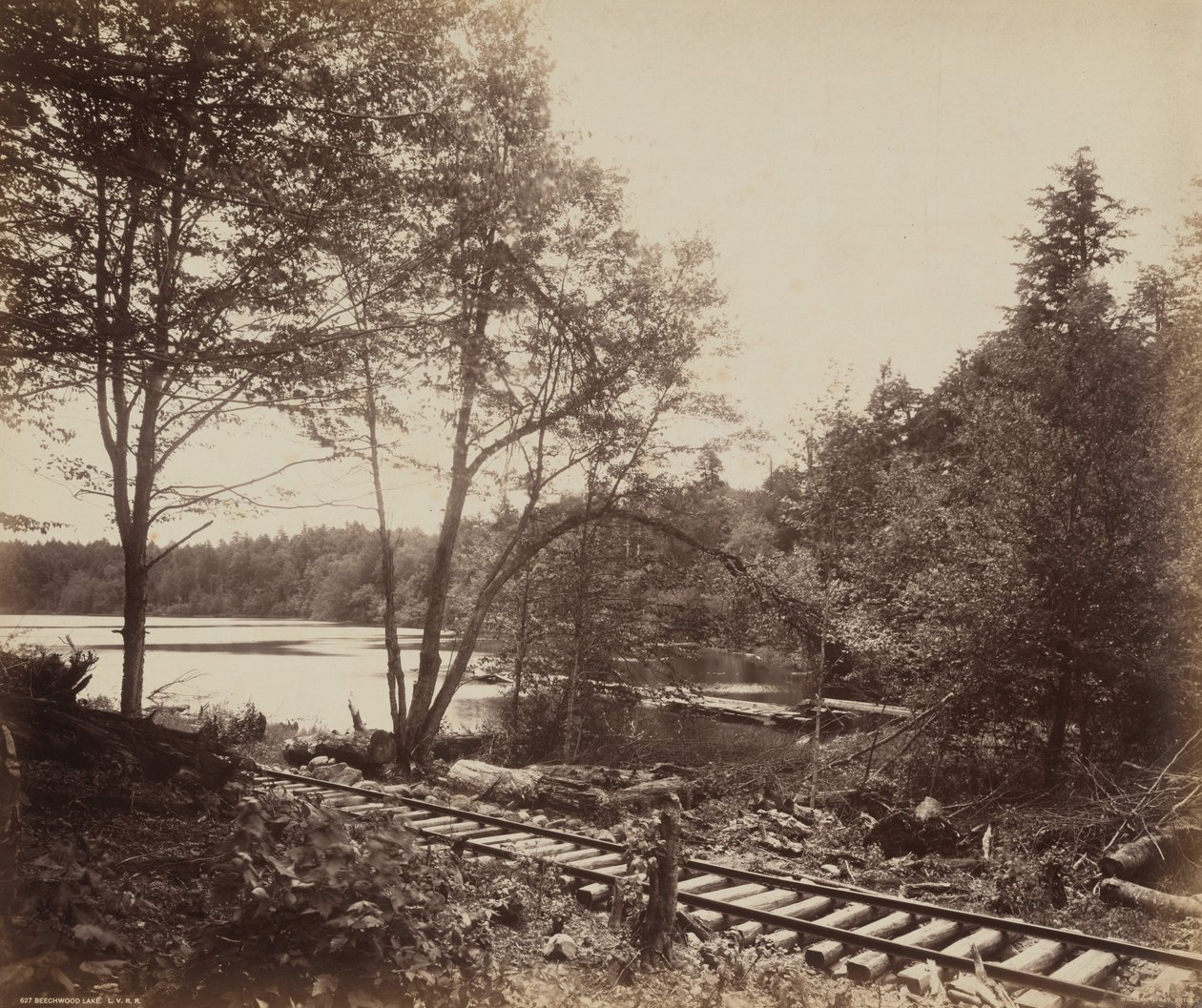 Beukenbosmeer door William H. Rau