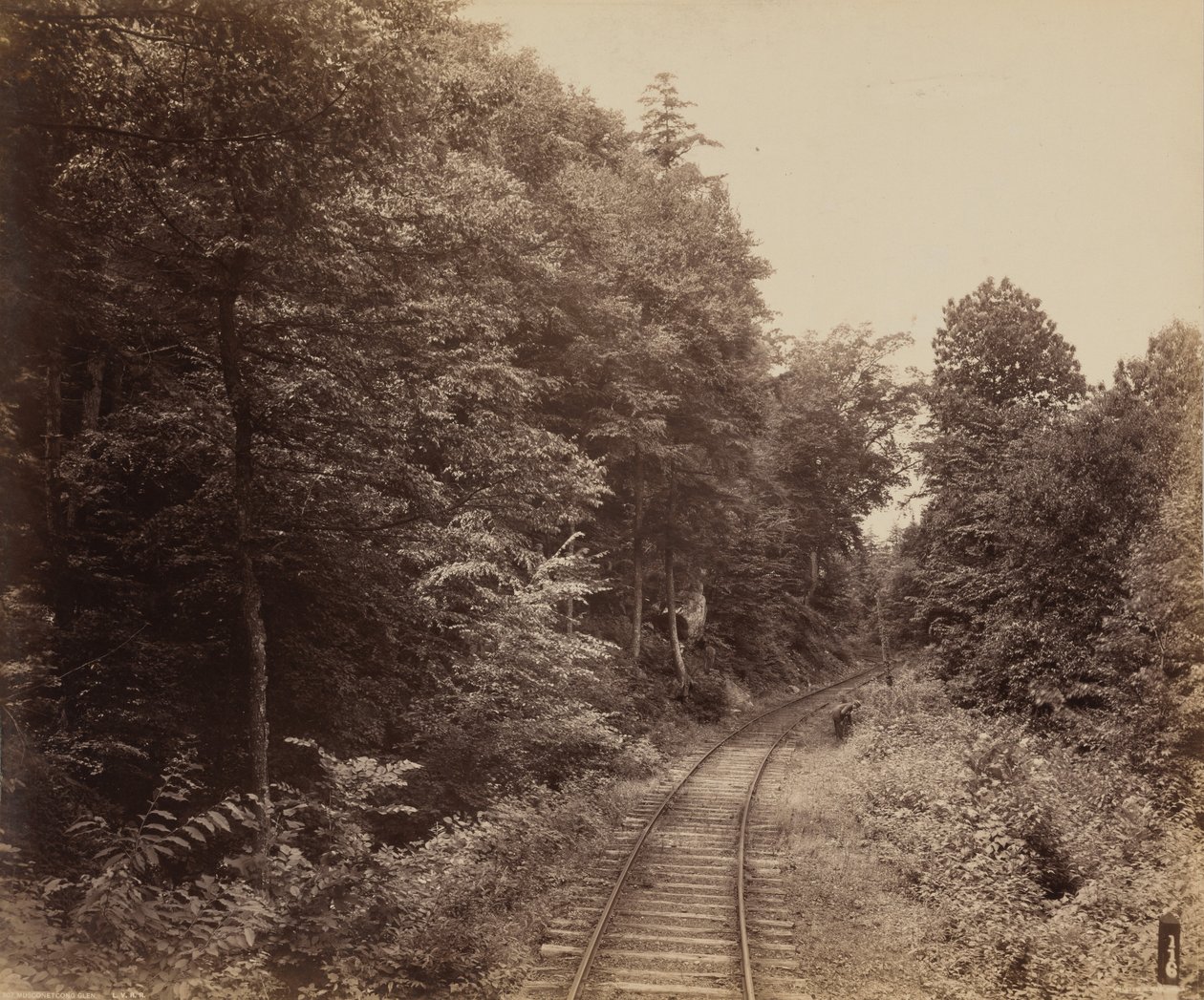 Musconetcong Glen door William H. Rau