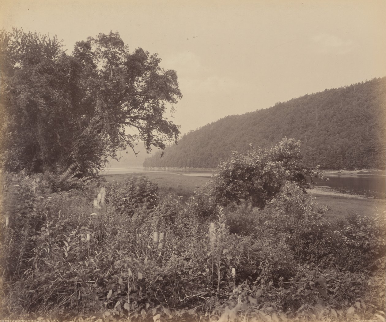 De Susquehanna bij Wyalusing door William H. Rau