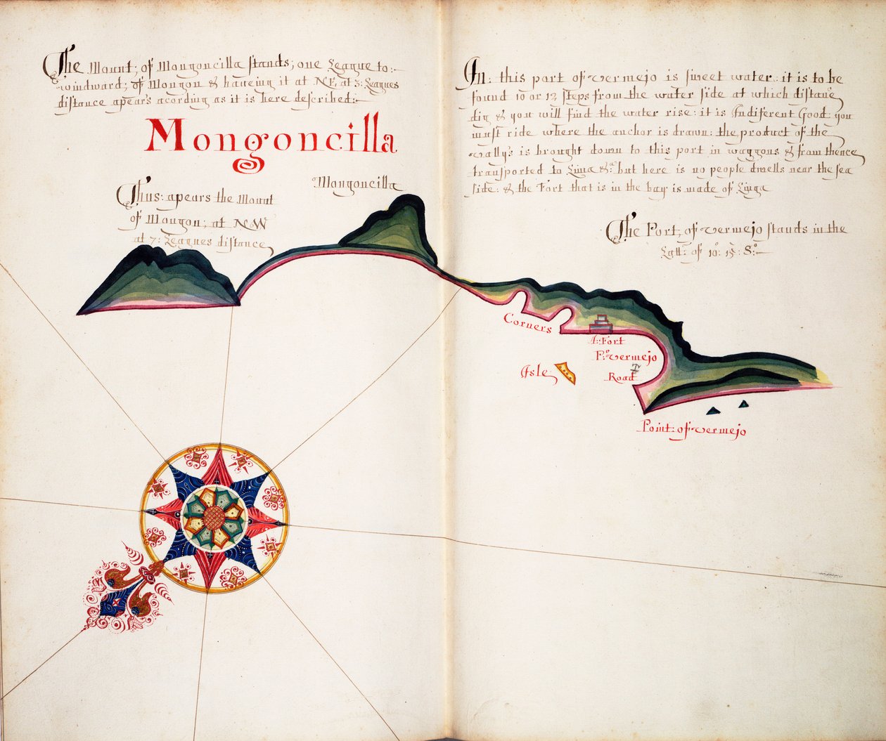 Mongoncilla door William Hack