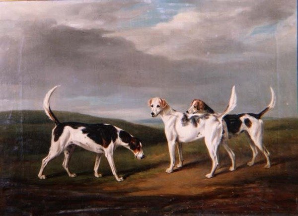 Foxhounds in een landschap door William Henry Davis