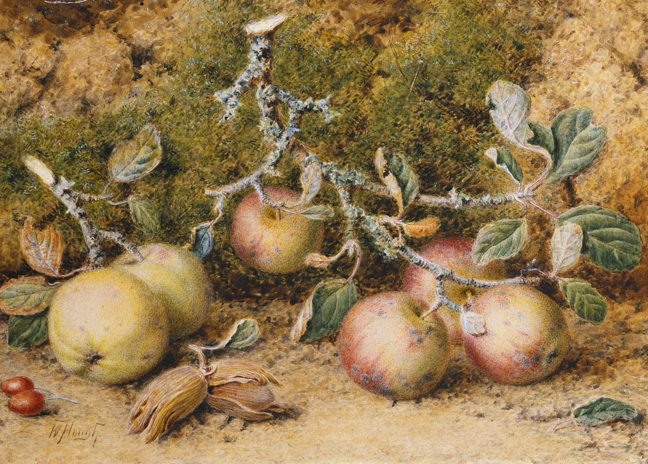 Stilleven met Appels, Hazelnoten en Rozenbottels door William Hough