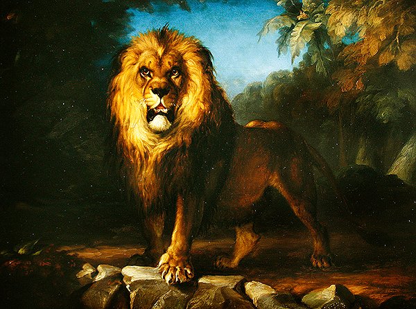 Leeuw door William Huggins